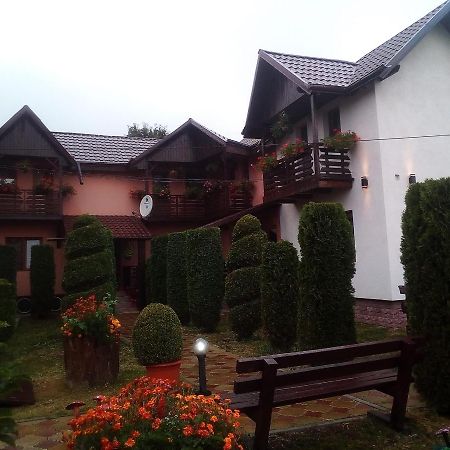 Pensiunea Denisa Sacalusesti Dış mekan fotoğraf