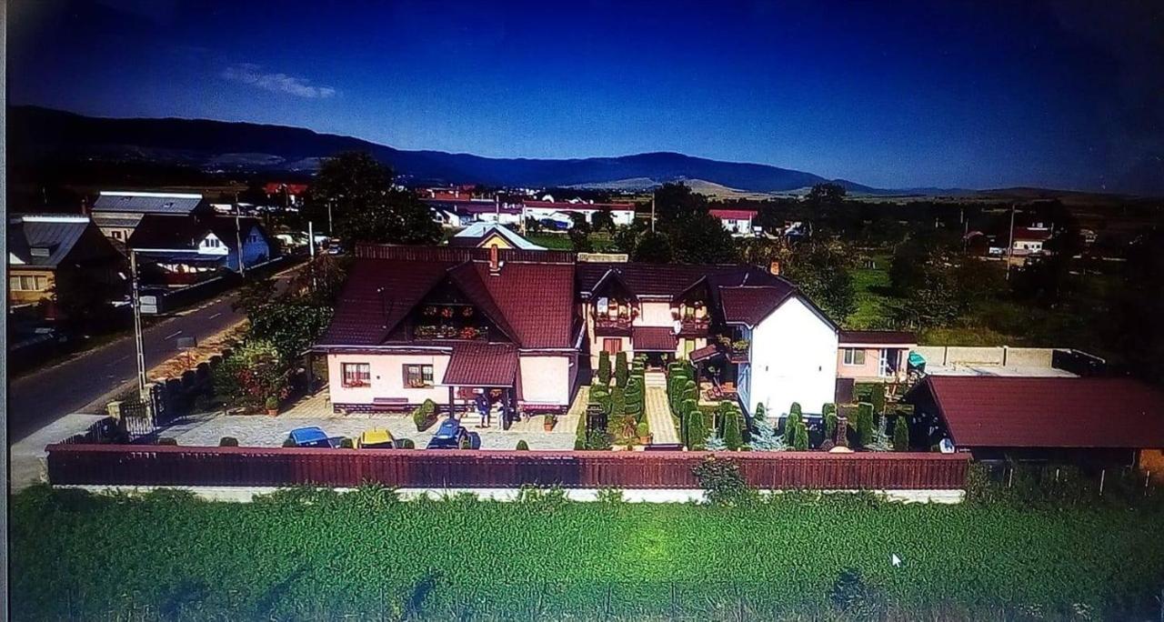 Pensiunea Denisa Sacalusesti Dış mekan fotoğraf