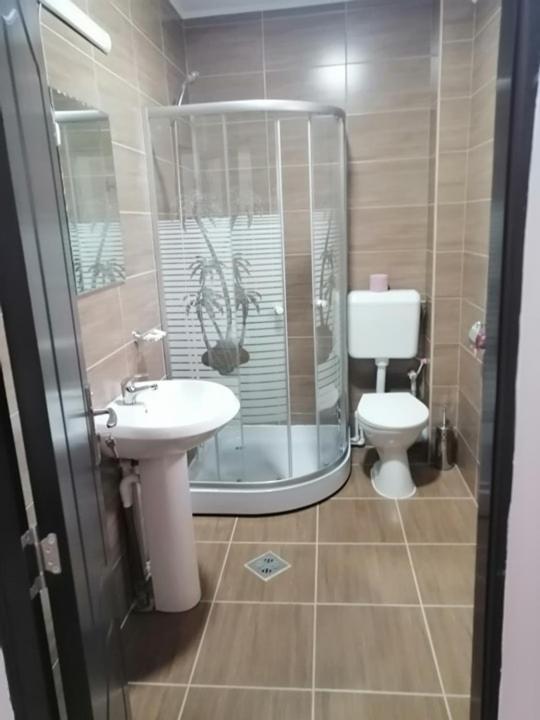 Pensiunea Denisa Sacalusesti Dış mekan fotoğraf